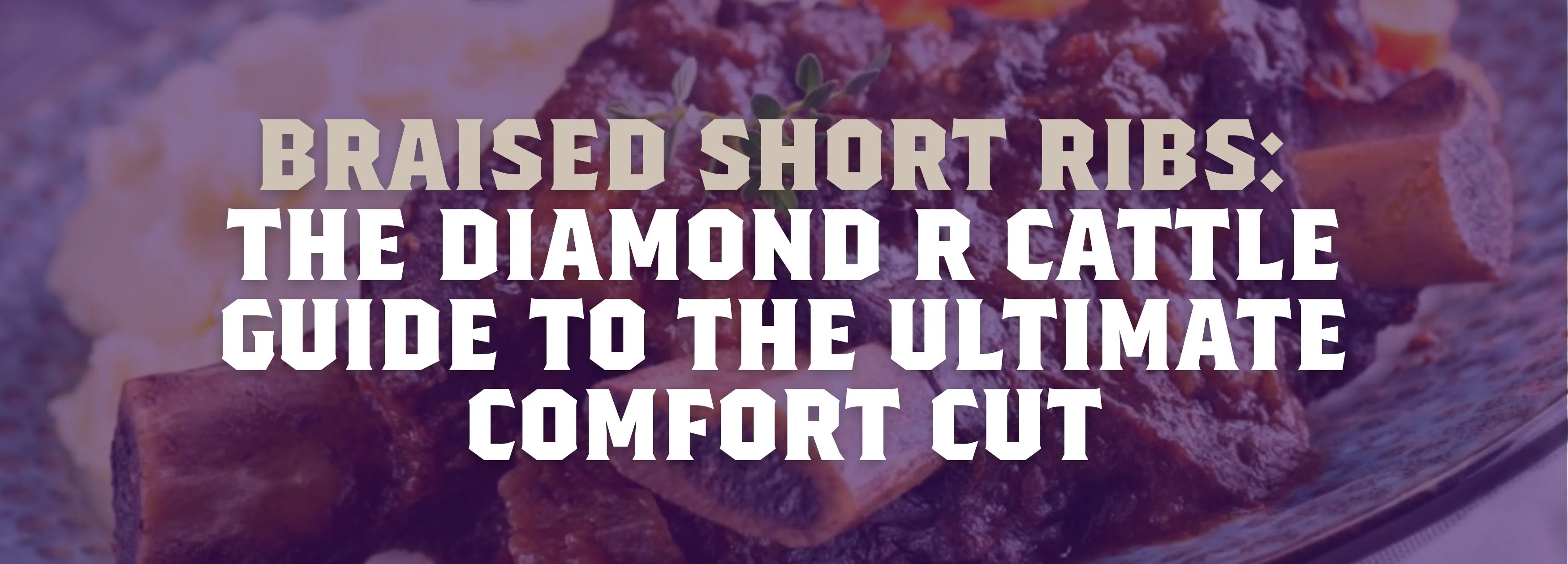 Braised Short Ribs Recipe | Diamond R Cattle Guide