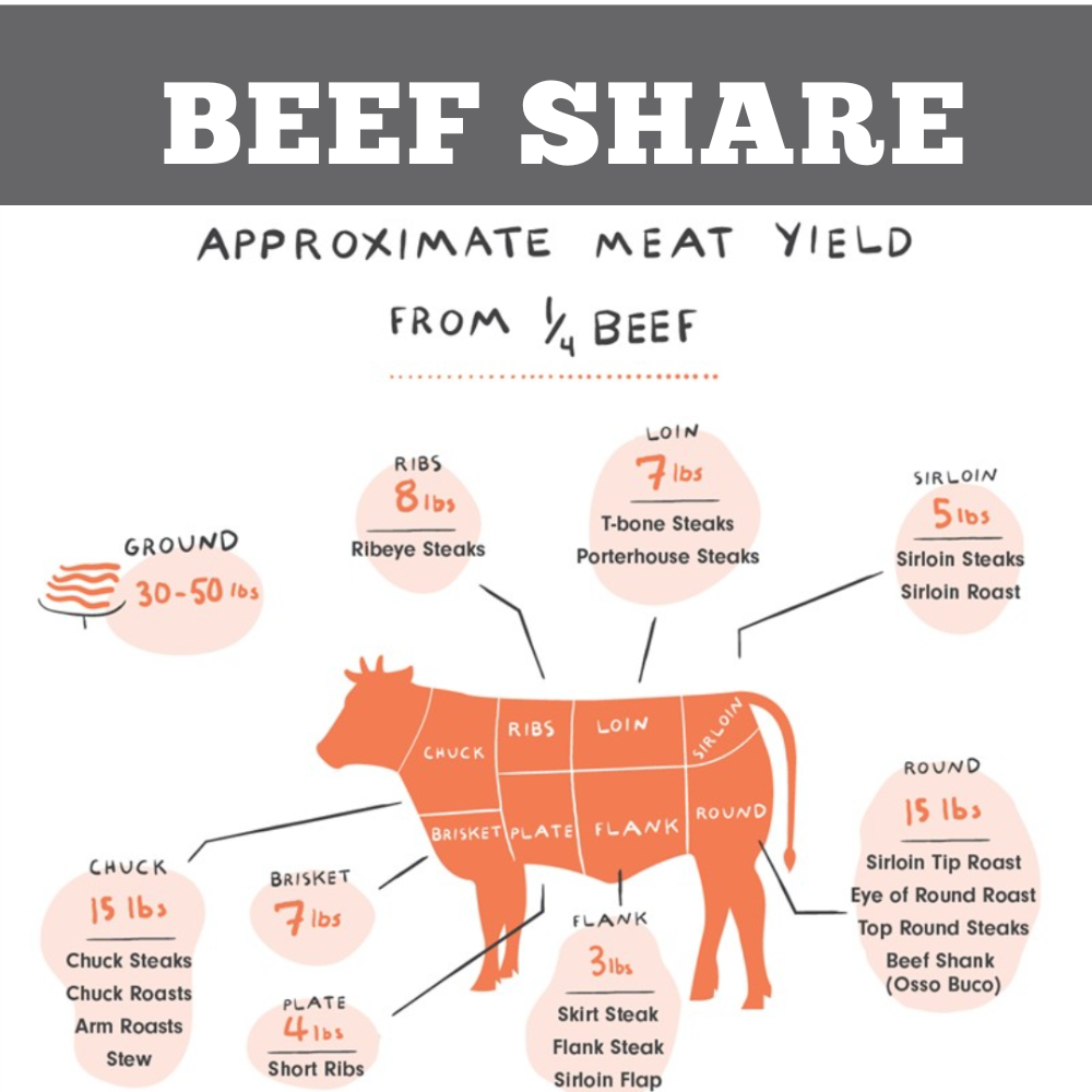 Beef Share Deposit